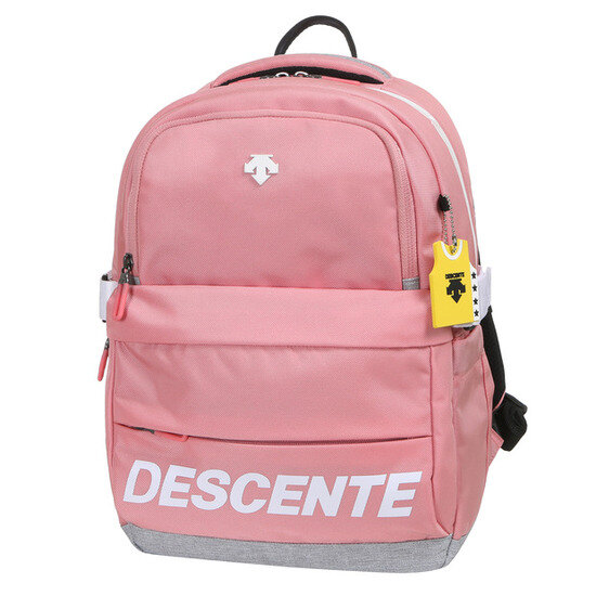 데상트(DESCENTE) [19SS 신상]영애슬릿 블로우 백팩 (S912JHBP10)